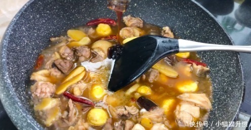 炖鸡肉时,万万不可下锅焯水,多加这关键1步,鸡肉香嫩又去腥味