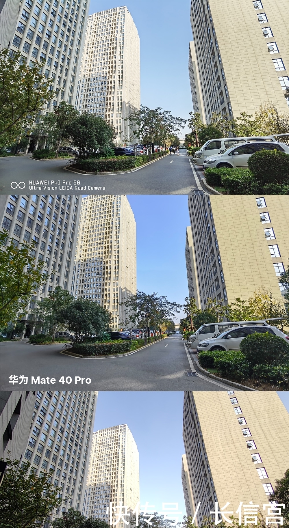 Pro和小米10|华为Mate40、华为P40和小米10拍照对比:哪一款最好?