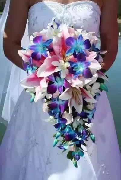 世界上最名贵的花,一盆就是一座房子!