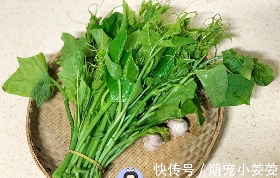 雨婷|这菜南方人当宝,清脆清肠,北方人却当草,不懂吃可惜了