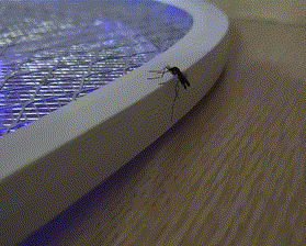 |【被窝段子20211223】现实点,你根本没有努力,你在抱怨