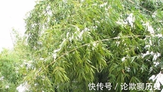 唐诗@唐诗里一首描写风的诗作,通篇都是风,但是却没有一个风字!