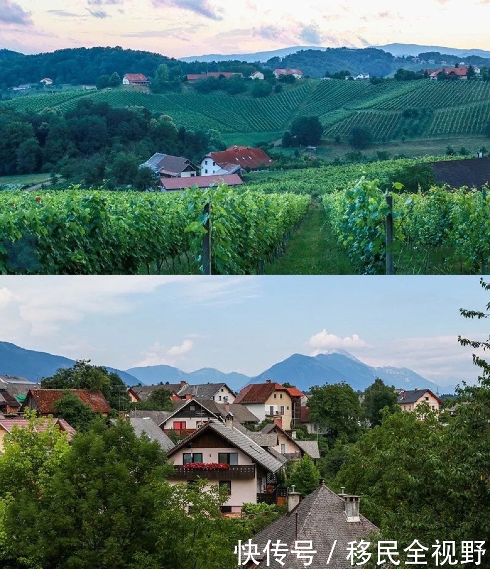 葡萄酒|斯洛文尼亚,葡萄酒乡的微醺时光
