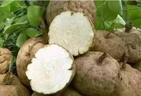 葛粉|清洁心血管的“一种食物”，常吃助血管干净，辅助防治心血管疾病