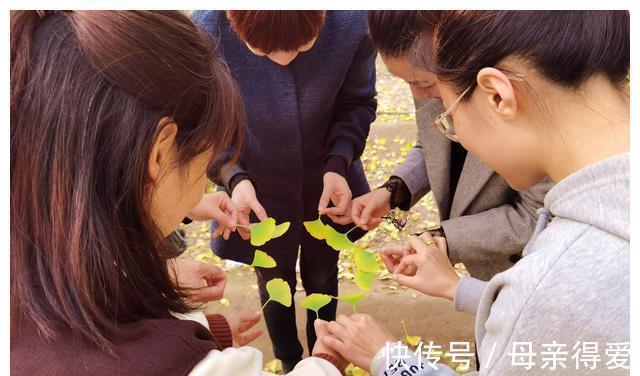 聚宝盆|山西农民种8亩小树林丢弃不管，25年后成聚宝盆，坐地头收门票