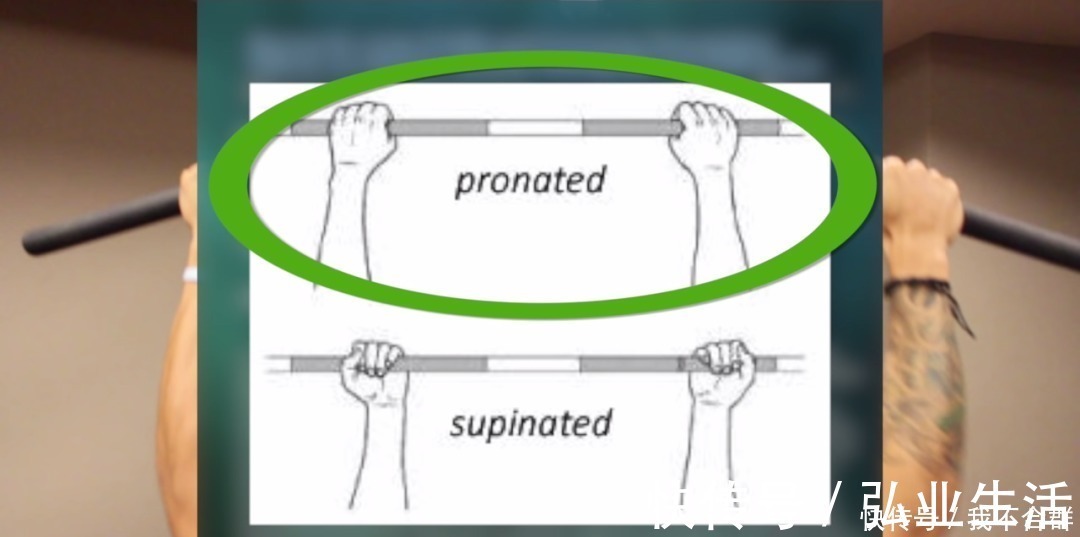 引体向上|一套高效全面的背部训练，练出圣诞树背！