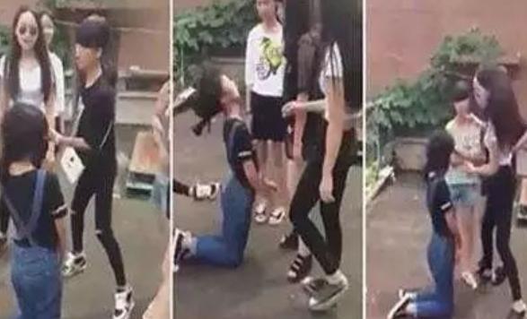 好好学习|大学教授怒斥家长:早晚接送会毁了孩子!不料网络上骂声此起彼伏