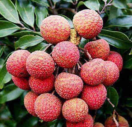 女性想爱美，多吃以下食物，淡化色斑，延缓衰老，美白肌肤