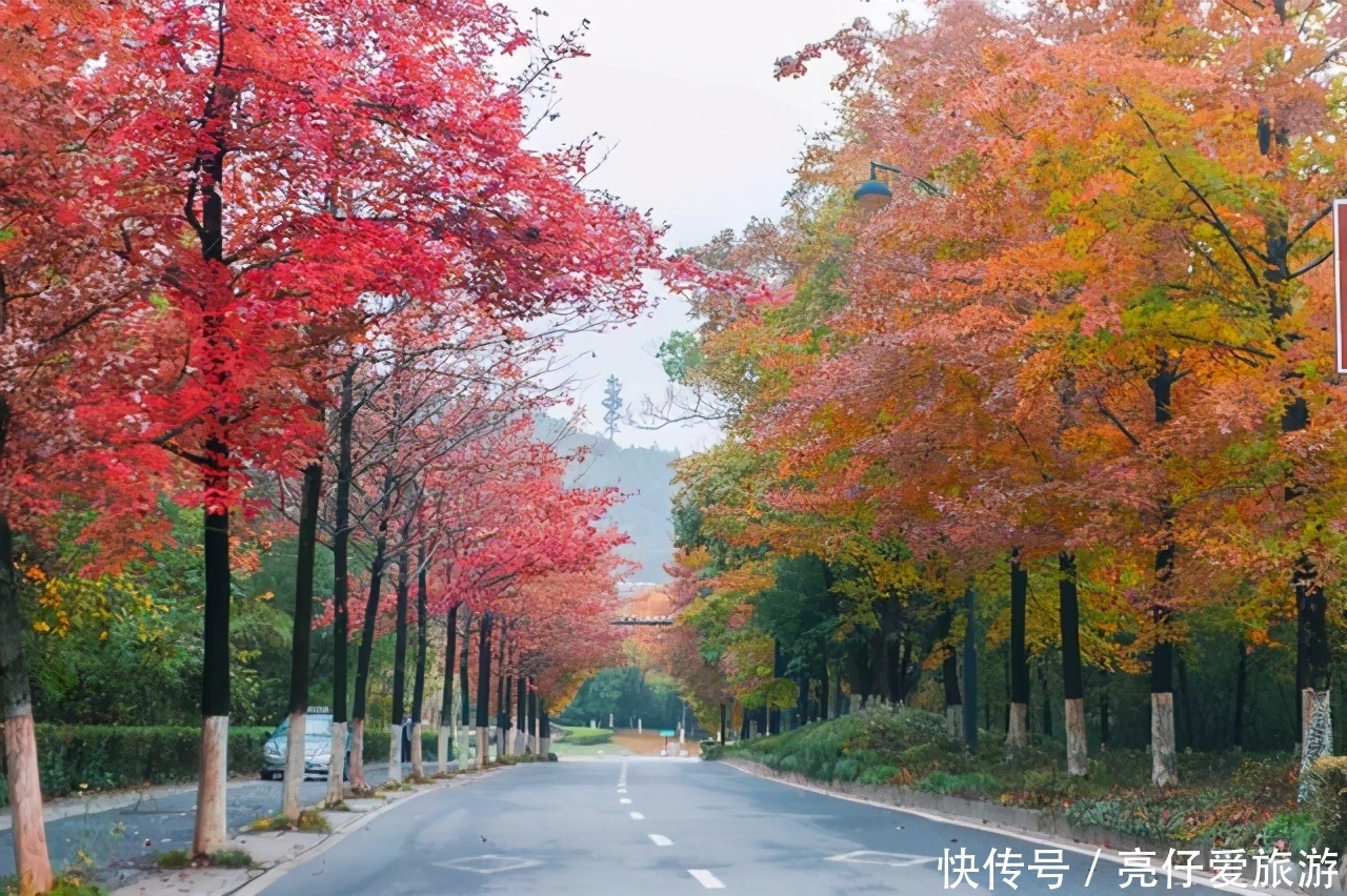 江南这座小镇超“潮流”，有人间烟火气，也有古色古香的建筑