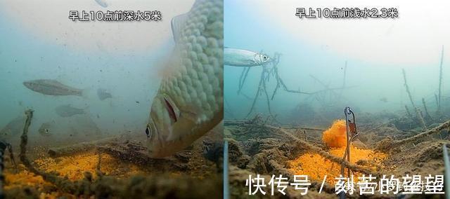 冬季钓鱼,什么时候钓深钓浅鱼窝这样找,深浅都能上鱼