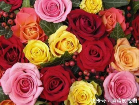 玫瑰花|玫瑰花,最美的“4种”,随便养一盆,比香水好闻,比牡丹更好看