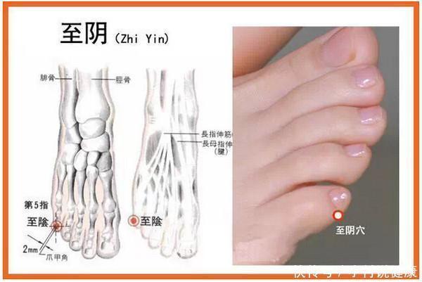 按压|脚底10大保健穴位及按摩方法,学会了补养五脏、滋阴降火,不生病