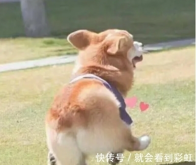 茶树精油|“直播间”推荐的护肤品再也不敢买了!全是智商税!满脸痤疮!