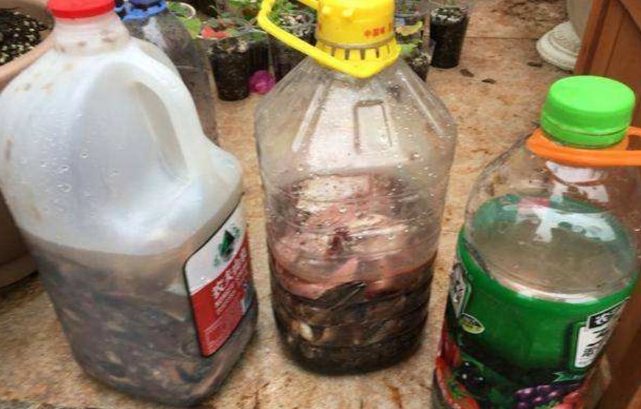 家中养花,常备“2种肥”,养啥花都行,枝叶繁茂,花满盆