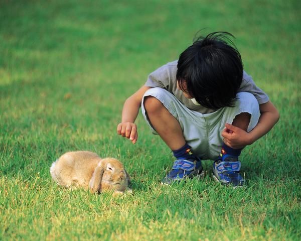 宠物|梳头发现小米粒，爸爸急忙带女儿去医院，医生：还好来得及时