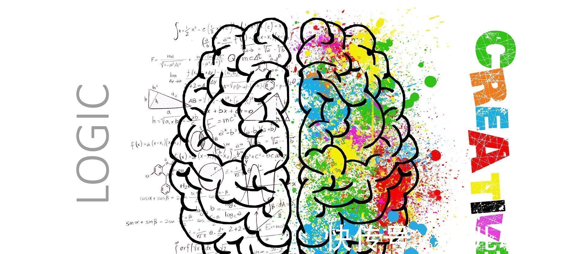 大脑|孩子总是学习差,父母错过孩子大脑发育黄金期,却逼孩子加倍努力