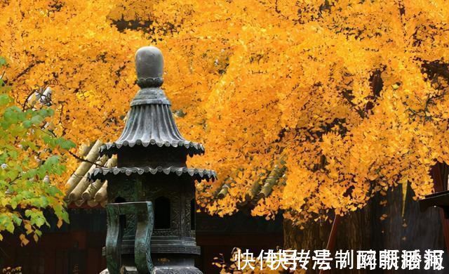 释文珦#诗僧笔下的秋天,不仅有最美的秋色,还有浓浓禅意,令人回味无穷