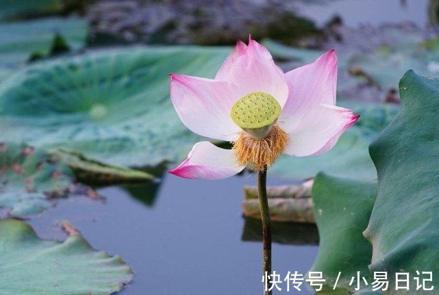 贵人|新的一周开始，3生肖受贵人待见，喜讯多，事业突破，手头不缺钱