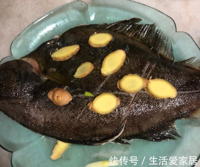 多宝鱼|清蒸多宝鱼,肉质鲜嫩,一点都不腥