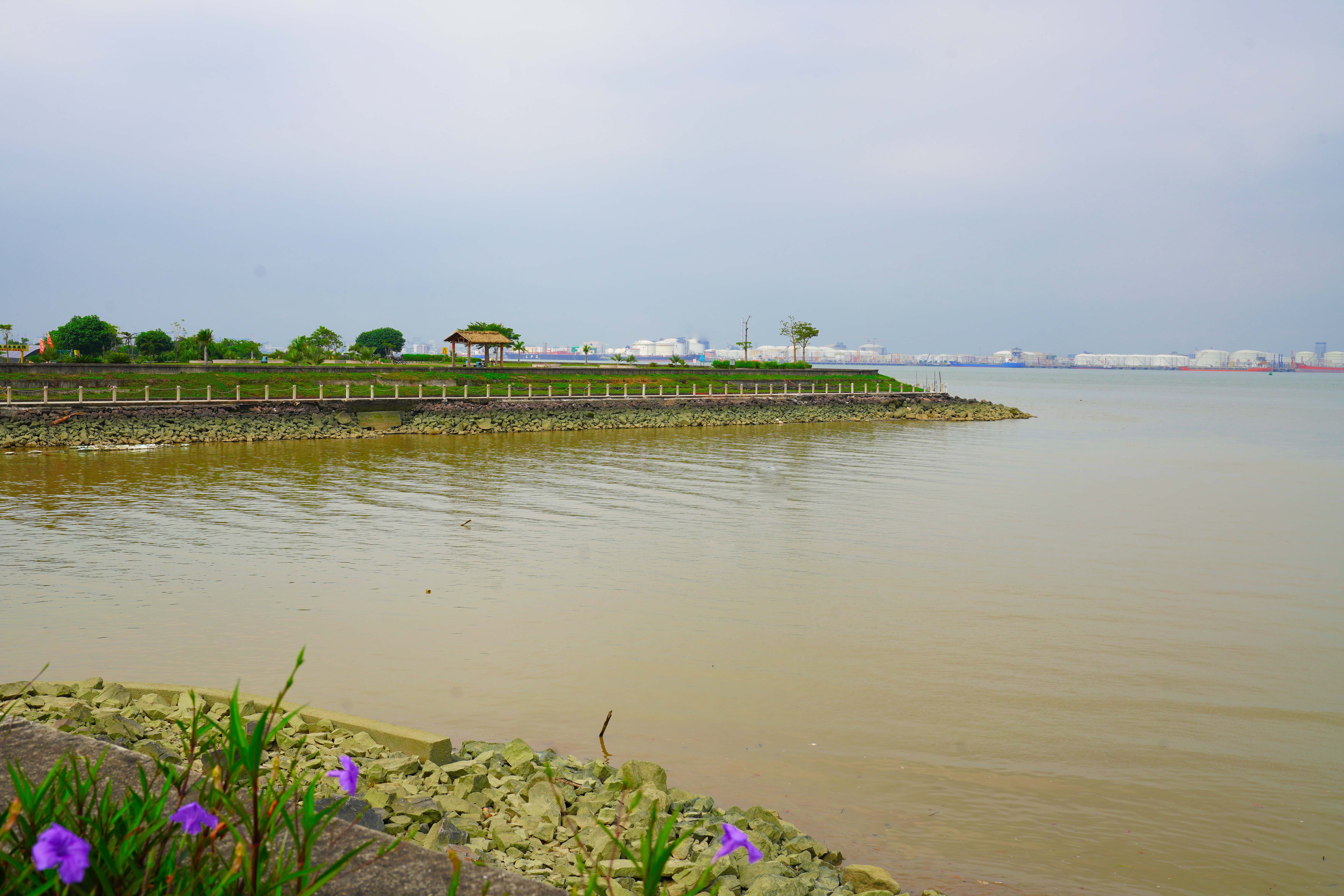 风情|海鸥岛虽没有海鸥，但却有海滨田园风情陪你