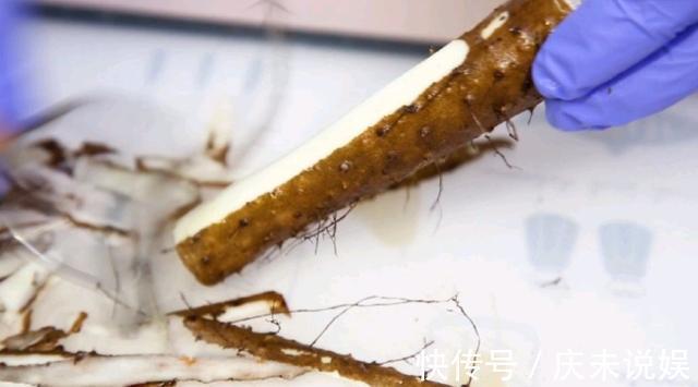 糯米粉|山药此吃法，简单营养又美味，每次做孩子都吃不够