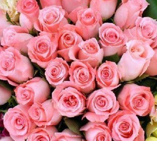 让男人”吃醋“的三种生肖女,婚后魅力不减反增,素颜也美丽动人