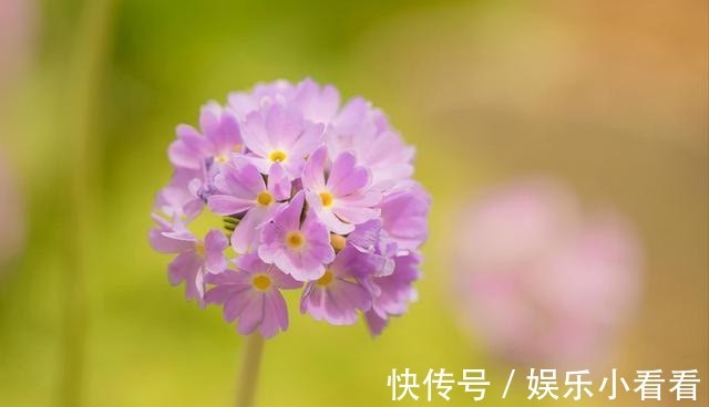 烦恼&想明白这四句话,这一生,就能活得轻松一些