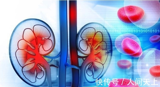 血压|高血压患者服药记住“3控、2时间”,血压更平稳,不怕肾衰竭