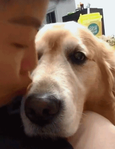 |搞笑GIF:别装了 我知道你就是故意的