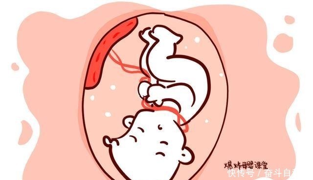 宝妈|为什么胎宝宝有时动来动去,有时又很安静原来是在忙着做5件事!