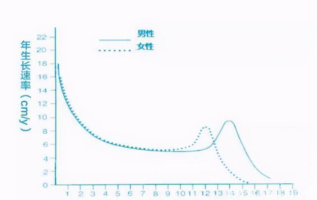 定型|孩子多大身高会定型？出现4个信号，暗示身高“猛涨期”接近尾声
