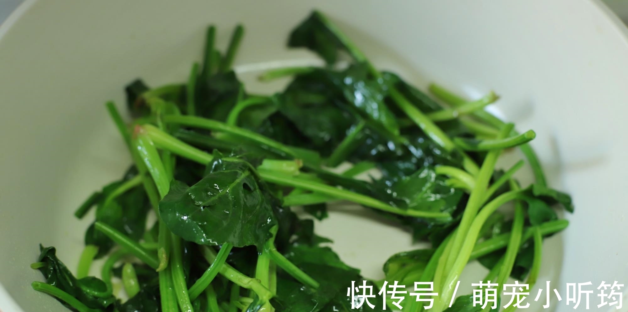 40岁主妇晒1人食午餐,走红朋友圈,网友:精致,把日子过成诗