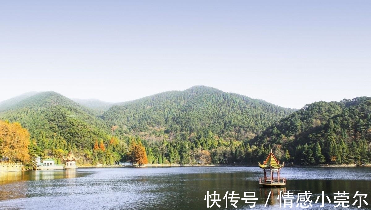 风里来雨|硕士毕业四十岁下岗,转行开滴滴,普通人的痛只能自己默默承受!