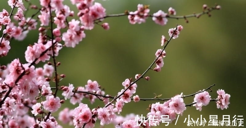 杨万里$清风明月正宜人,足以慰风尘,七首唯美宋诗,忘却烦恼只留星辰