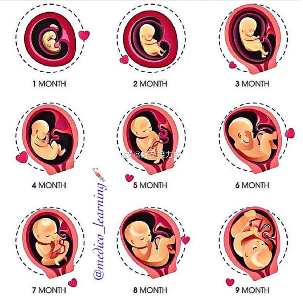 胎儿|子宫“孕育记”从怀孕到分娩，会经历5个变化，当妈不易！