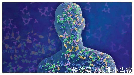 26个冷知识:虽然没有地方使用,但却经常出现的有趣知识