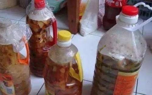  植物|学会制作、使用水果皮酵素养花，什么植物都能养得特别好