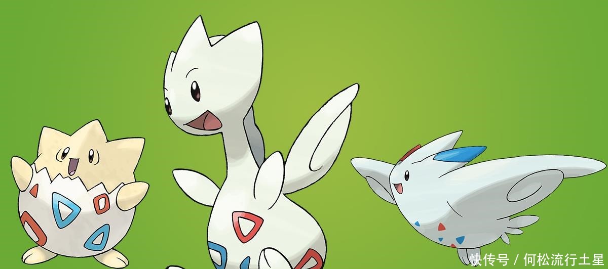 波克基古|《宝可梦》动画第一颗精灵蛋备受呵护的波克比，小霞捡了大便宜