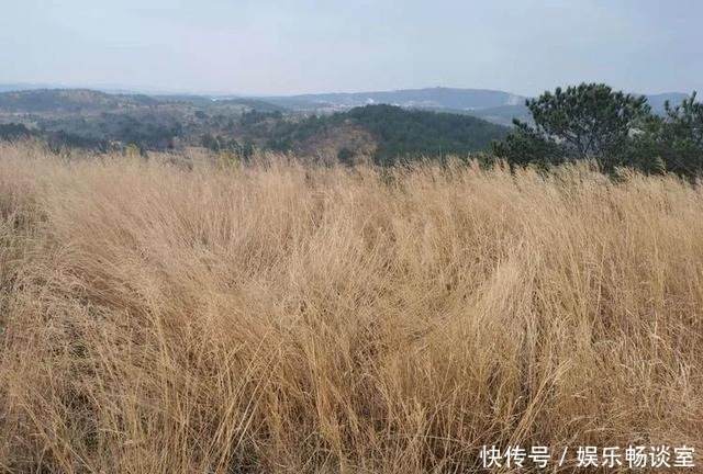 故乡山，家乡情