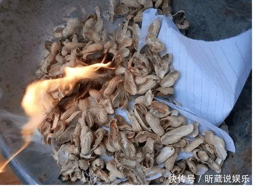 4种垃圾不会分类别担心，埋在花盆底，叶子绿得直滴油！