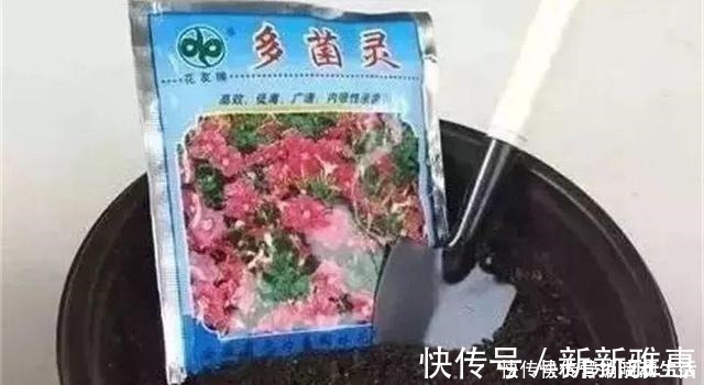 松针|家里花卉换盆，剩下“旧土”怎么办老花匠“这么”处理更肥沃！