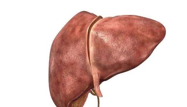 瓜子|医生提醒:养肝不需要太复杂,多吃三种食物,肝脏或会“感激”你