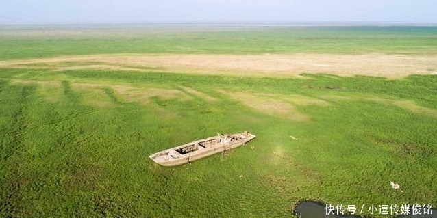 鄱阳湖、洞庭湖、太湖：中国最大的三个淡水湖“生病”了