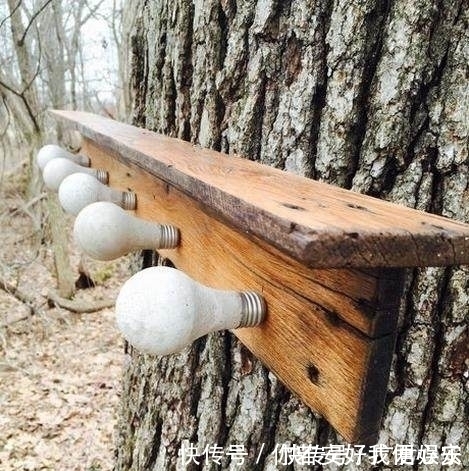 水泥|她把灯泡灌进水泥,变成连家具店都买不到的超美物品