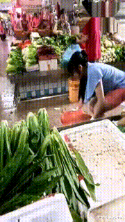 |搞笑GIF:站在高处往下看,风景真的不一样