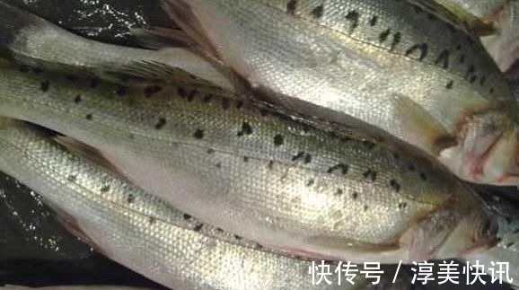 今天才知道，海鲈鱼和淡水鲈鱼差别这么大，选对了才肉嫩味美