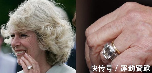 查尔斯#卡米拉的蛇形项链20年前做情人时查尔斯送的,蛇蝎气质一目了然