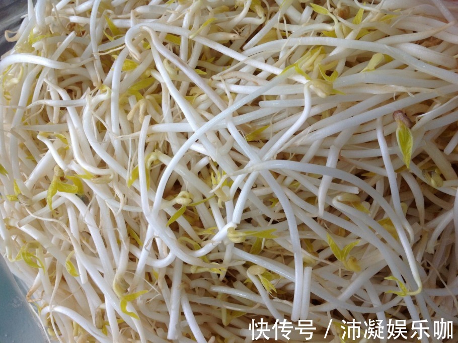 孕酮|孕期适当多吃三种食物,不再怕“孕酮”不足,备孕的也可以多吃