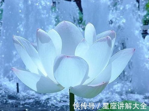 财源|11月中旬，4属相运势上涨，财源广进，生活越来越幸福