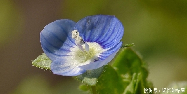 4月19日起 月老登门 青鸟登门 执手红尘 幸福近在眼前的生肖 粉紫色 4月19日起 月老登门 青鸟登门 执手红尘 幸福近在眼前的生肖 粉紫色